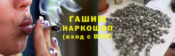 индика Лабытнанги