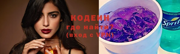 индика Лабытнанги