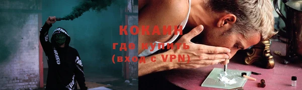 крисы Кулебаки