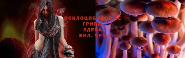 кокс Лагань