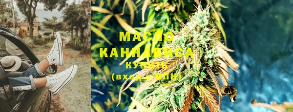 индика Лабытнанги
