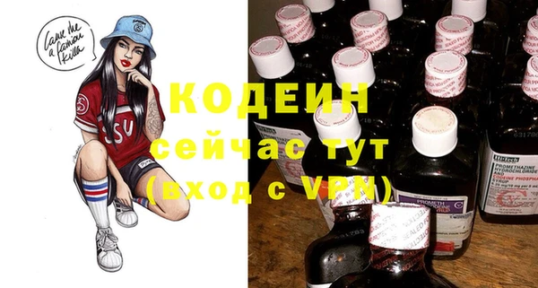 индика Лабытнанги